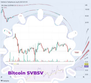 Bitcoin bsv price
