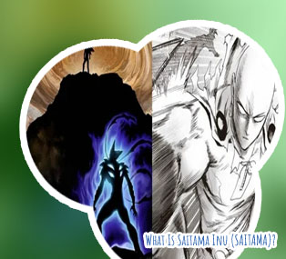 Crypto saitama