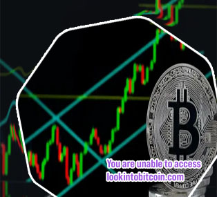 Live bitcoin prices