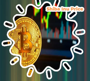Shib bitcoin price