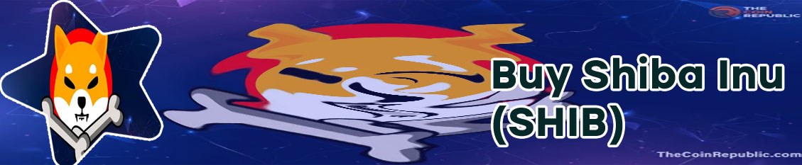 Shiba inu crypto