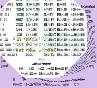 Who owns the majority of bitcoin